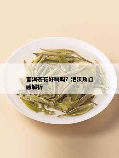 普洱茶花好喝吗？泡法及口感解析