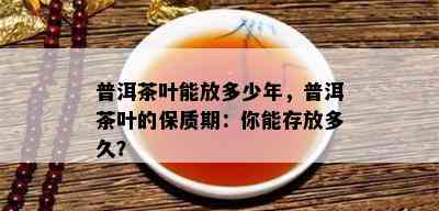 普洱茶叶能放多少年，普洱茶叶的保质期：你能存放多久？