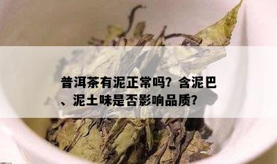 普洱茶有泥正常吗？含泥巴、泥土味是否影响品质？