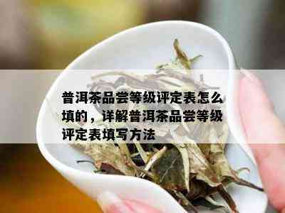 普洱茶品尝等级评定表怎么填的，详解普洱茶品尝等级评定表填写方法