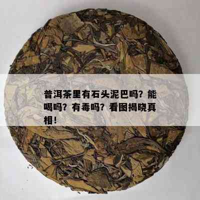 普洱茶里有石头泥巴吗？能喝吗？有吗？看图揭晓真相！