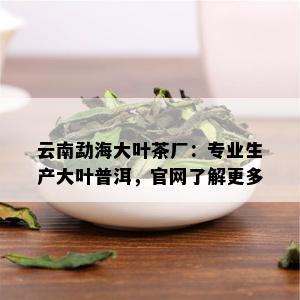 云南勐海大叶茶厂：专业生产大叶普洱，官网了解更多