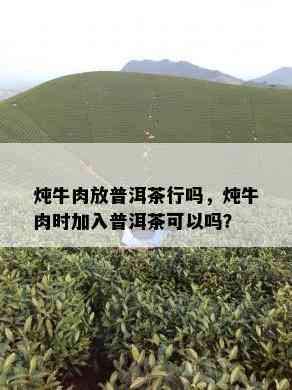 炖牛肉放普洱茶行吗，炖牛肉时加入普洱茶可以吗？