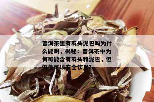 普洱茶里有石头泥巴吗为什么能喝，揭秘：普洱茶中为何可能含有石头和泥巴，但仍然可以安全饮用？