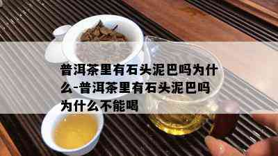 普洱茶里有石头泥巴吗为什么-普洱茶里有石头泥巴吗为什么不能喝