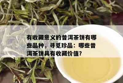 有收藏意义的普洱茶饼有哪些品种，寻觅珍品：哪些普洱茶饼具有收藏价值？