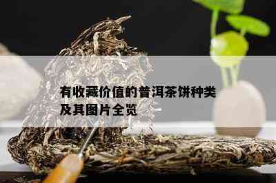 有收藏价值的普洱茶饼种类及其图片全览