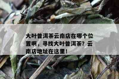 大叶普洱茶云南店在哪个位置啊，寻找大叶普洱茶？云南店地址在这里！