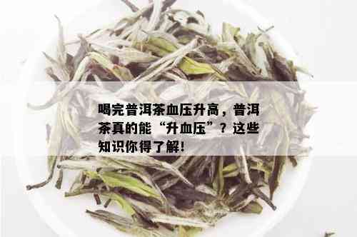 喝完普洱茶血压升高，普洱茶真的能“升血压”？这些知识你得了解！