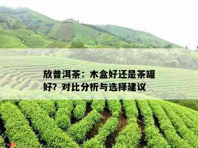 放普洱茶：木盒好还是茶罐好？对比分析与选择建议