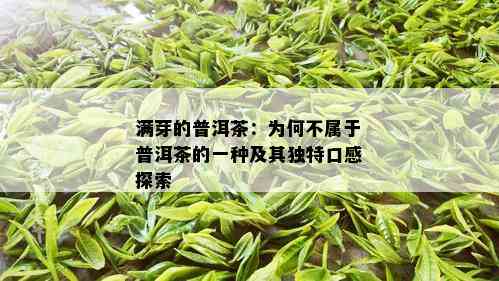 满芽的普洱茶：为何不属于普洱茶的一种及其独特口感探索