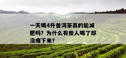 一天喝4升普洱茶真的能减肥吗？为什么有些人喝了却没瘦下来？