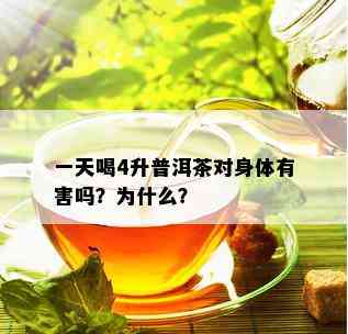 一天喝4升普洱茶对身体有害吗？为什么？