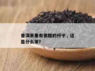 普洱茶里有很粗的杆子，这是什么茶？