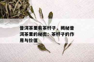 普洱茶里有茶杆子，揭秘普洱茶里的秘密：茶杆子的作用与价值