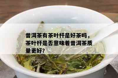 普洱茶有茶叶杆是好茶吗，茶叶杆是否意味着普洱茶质量更好？