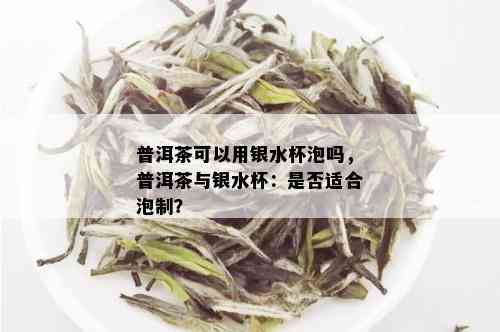 普洱茶可以用银水杯泡吗，普洱茶与银水杯：是否适合泡制？