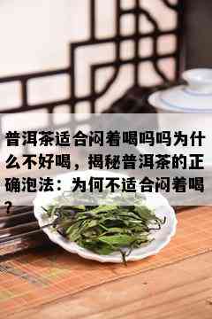 普洱茶适合闷着喝吗吗为什么不好喝，揭秘普洱茶的正确泡法：为何不适合闷着喝？