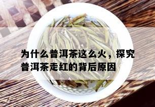 为什么普洱茶这么火，探究普洱茶走红的背后原因