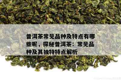 普洱茶常见品种及特点有哪些呢，探秘普洱茶：常见品种及其独特特点解析