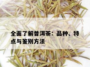 全面了解普洱茶：品种、特点与鉴别方法