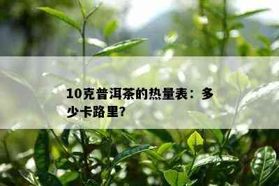 10克普洱茶的热量表：多少卡路里？