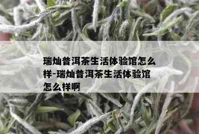 瑞灿普洱茶生活体验馆怎么样-瑞灿普洱茶生活体验馆怎么样啊