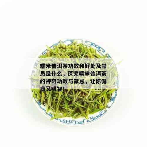 糯米普洱茶功效和好处及禁忌是什么，探究糯米普洱茶的神奇功效与禁忌，让你健康又明智！