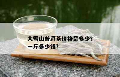 大雪山普洱茶价格是多少？一斤多少钱？