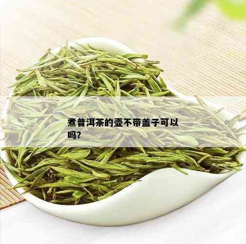 煮普洱茶的壶不带盖子可以吗？