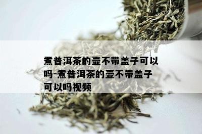 煮普洱茶的壶不带盖子可以吗-煮普洱茶的壶不带盖子可以吗视频