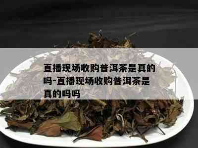 直播现场收购普洱茶是真的吗-直播现场收购普洱茶是真的吗吗