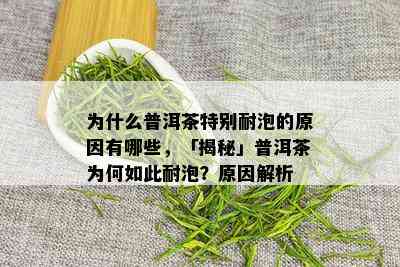 为什么普洱茶特别耐泡的原因有哪些，「揭秘」普洱茶为何如此耐泡？原因解析