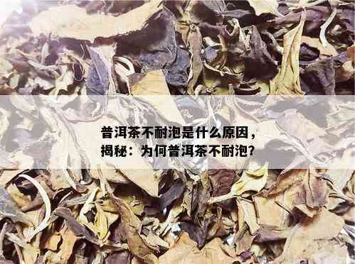 普洱茶不耐泡是什么原因，揭秘：为何普洱茶不耐泡？