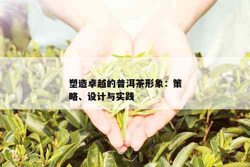 塑造卓越的普洱茶形象：策略、设计与实践