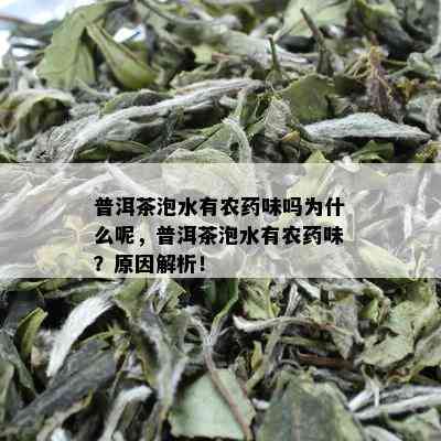 普洱茶泡水有农药味吗为什么呢，普洱茶泡水有农药味？原因解析！