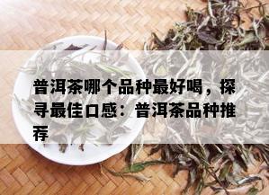 普洱茶哪个品种更好喝，探寻更佳口感：普洱茶品种推荐