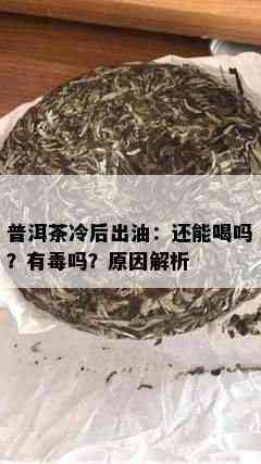 普洱茶冷后出油：还能喝吗？有吗？原因解析