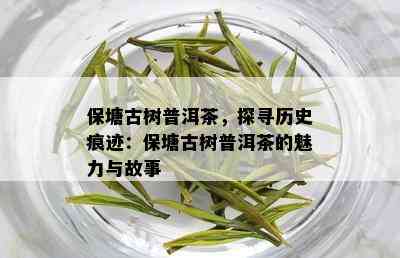 保塘古树普洱茶，探寻历史痕迹：保塘古树普洱茶的魅力与故事