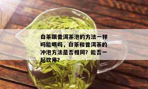 白茶跟普洱茶泡的方法一样吗能喝吗，白茶和普洱茶的冲泡方法是否相同？能否一起饮用？