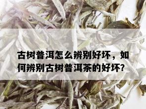 古树普洱怎么辨别好坏，如何辨别古树普洱茶的好坏？