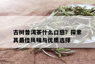 古树普洱茶什么口感？探索其更佳风味与优质选择