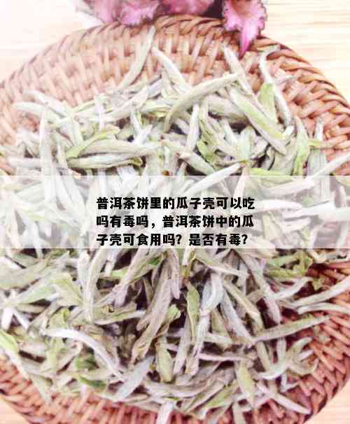 普洱茶饼里的瓜子壳可以吃吗有吗，普洱茶饼中的瓜子壳可食用吗？是否有？