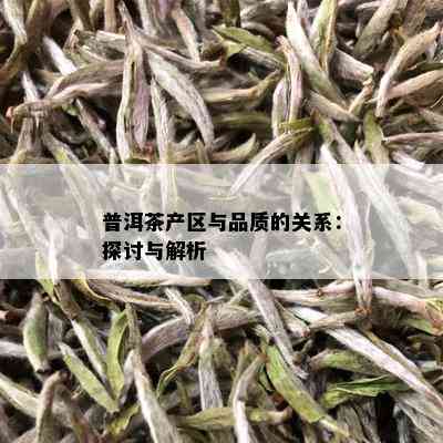 普洱茶产区与品质的关系：探讨与解析