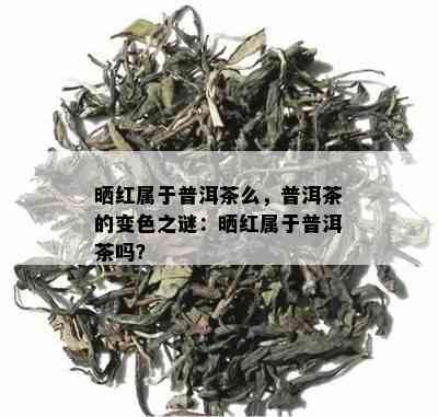 晒红属于普洱茶么，普洱茶的变色之谜：晒红属于普洱茶吗？