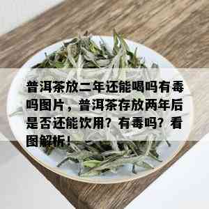 普洱茶放二年还能喝吗有吗图片，普洱茶存放两年后是否还能饮用？有吗？看图解析！