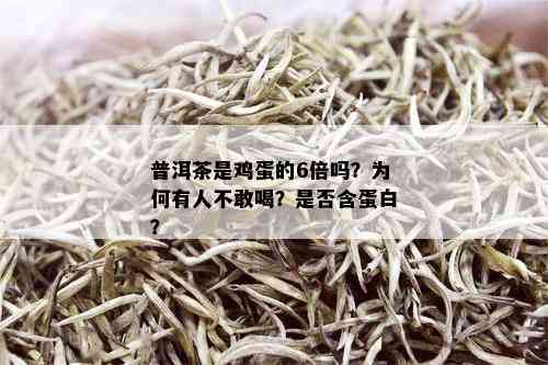 普洱茶是鸡蛋的6倍吗？为何有人不敢喝？是否含蛋白？