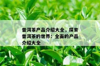 普洱茶产品介绍大全，探索普洱茶的世界：全面的产品介绍大全