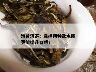 泡普洱茶：选择何种及水质更能提升口感？