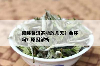 罐装普洱茶能放几天？会坏吗？原因解析